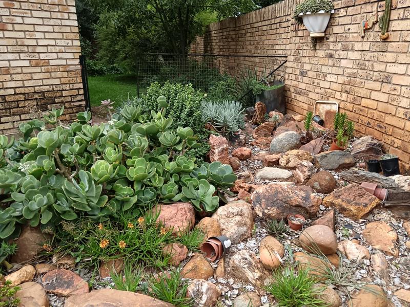 To Let 1 Bedroom Property for Rent in Kannoniers Park North West